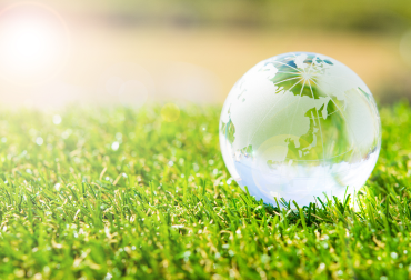 製品のRoHS指令適合に向けた取り組み