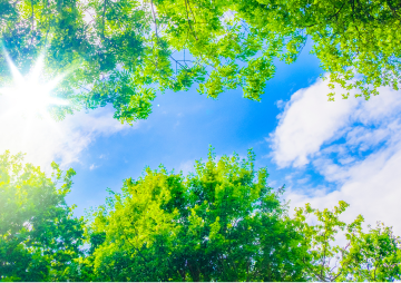 環境に関する画像